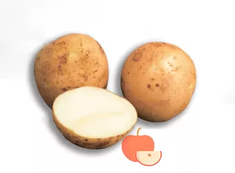 Ла Страда - сорт растения Картофель