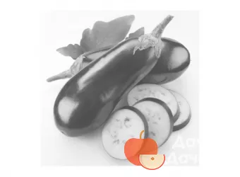 Черный Цилиндр - сорт растения Баклажан