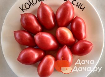 Томат Колокола России характеристика и описание сорта урожайность с фото